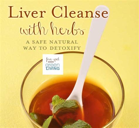 Liver Cleanse With Herbs A Safe Natural Way To Detoxify Five Spot
