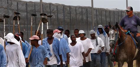 Check spelling or type a new query. Prison Labor and the Thirteenth Amendment | Equal Justice ...