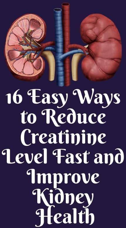 16 Easy Ways To Reduce Creatinine Level Fast And Improve Kidney Health