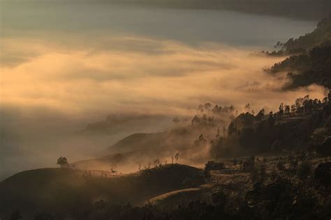 Hd Wallpaper Foggy Mountain Morning Dawn Mist Hills Light
