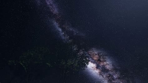4k Astro Of Milky Way Galaxy Over Tropical Rainforest Motion