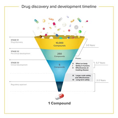 Stages Of Drug Development