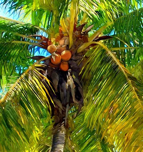 Coconut Palm Tree Painting By Stephen Jorgensen Fine Art America