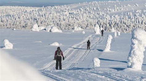 Cross Country Skiing In Lapland By Exodus Travels Bookmundi