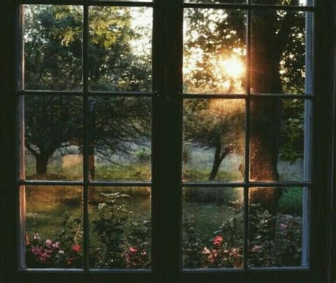 Mormons being a shining light. Pin by Venus on Aesthetic photography | Window view ...