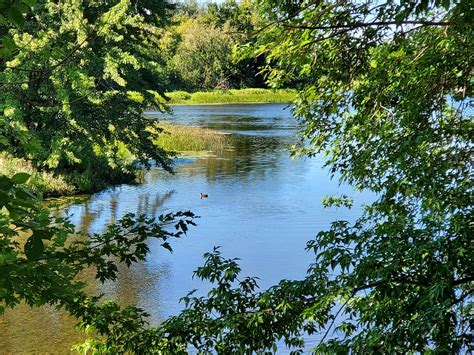 Rideau River Bird Sanctuary Conservation Area Lezumbalaberenjena