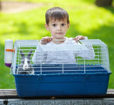 Your Guide To Finding The Best Indoor Rabbit Cage