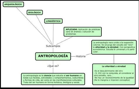 como realizar un mapa conceptual sencillo sobre antropología Brainly lat