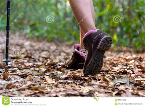 Close Up Of Female Hiker Feet And Shoe Walking On Forest Trail Stock