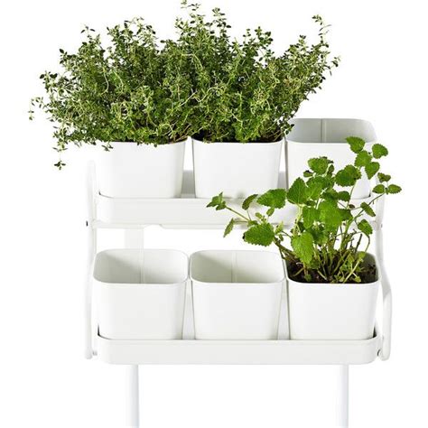 Socker Ikea Plants Herb Garden In Kitchen Plant Holders