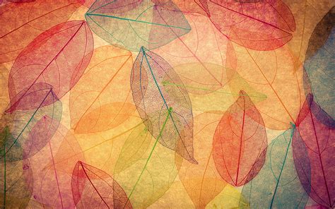 Wallpaper Foliage Autumn Leaves Transparent Abstract 3840x2400