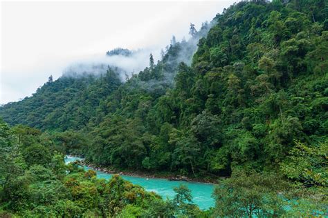 Dive In The Rainforest In Yunnan Cgtn