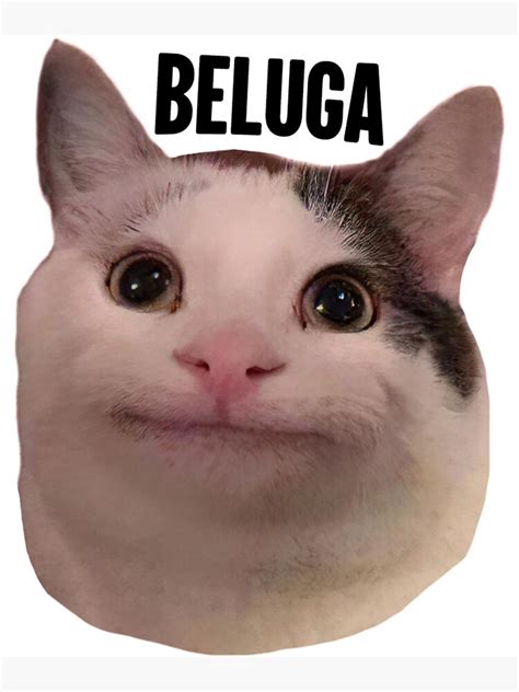 Beluga Cat Discord Pfp Poster For Sale By Thekidsplaces99 Redbubble