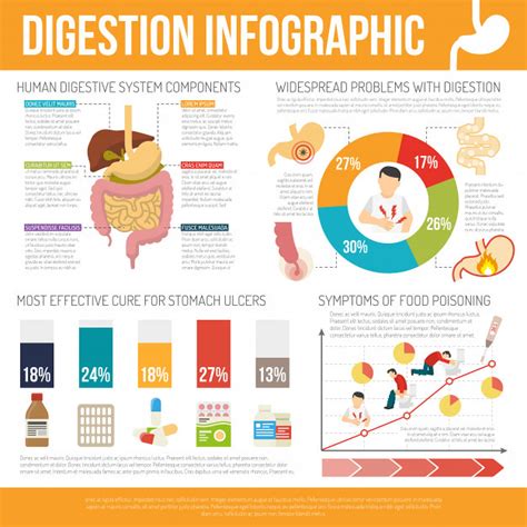 Health Infographics Flickr