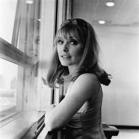 Sharon Tate Biography Height And Life Story Super Stars Bio