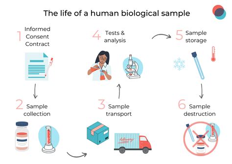The Life Of A Human Biological Sample Labtoo