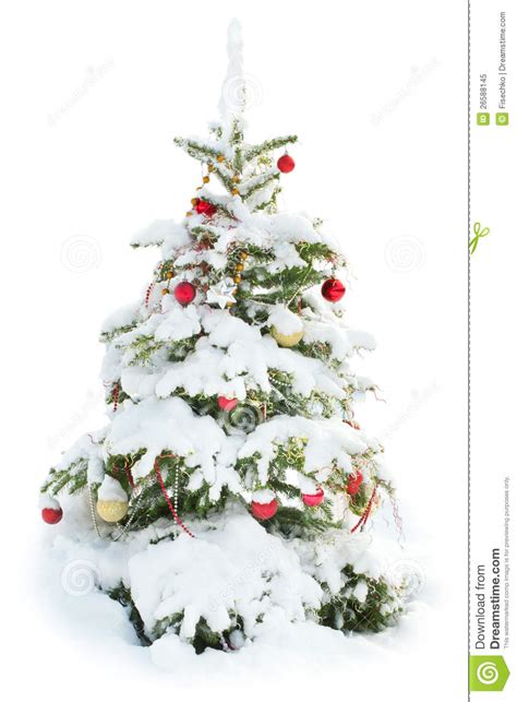 Decorated Christmas Tree Under Snow Isolated Royalty Free
