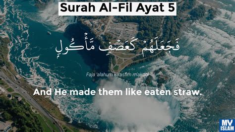 Surah Fil Ayat 4 1054 Quran With Tafsir My Islam