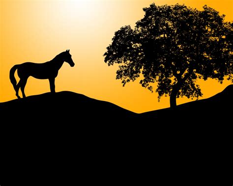 Horse Silhouette At Sunset Free Stock Photo Public Domain Pictures