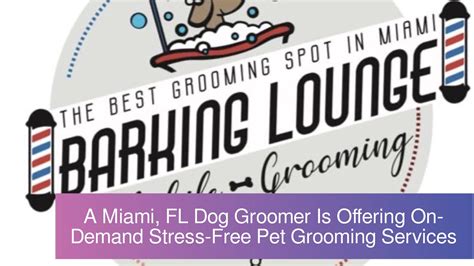 Calaméo - A Miami, FL Dog Groomer Is Offering On-Demand Stress-Free Pet