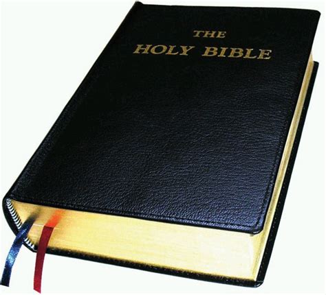 Catholic Holy Bible Nab