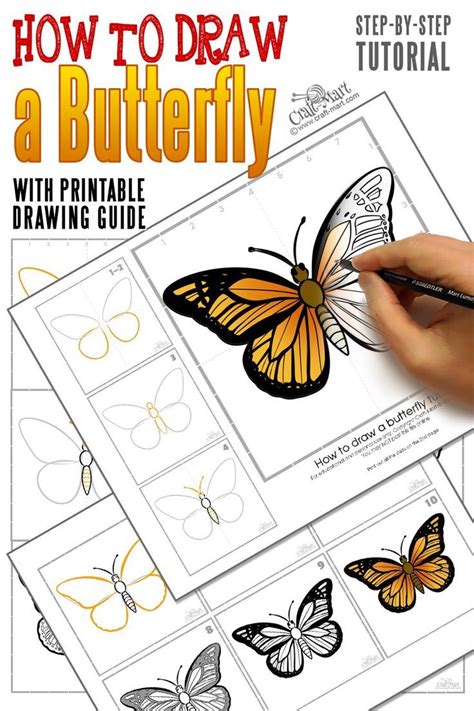 How To Draw A Butterfly Step By Step Easy And Fast Craft Mart