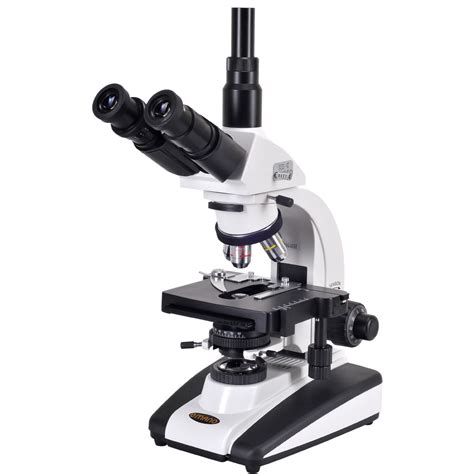 Plant cell compound light microscope. 1000x Microscope