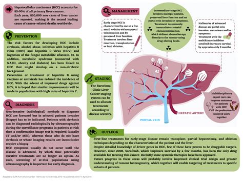 Liver Cancer Elpaeu