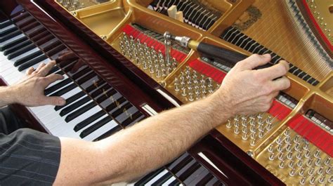 Tuning using a piano is a very common method of violin tuning as the piano delivers very clear notes. The Ultimate Guide to Piano Care - How often do I need to ...