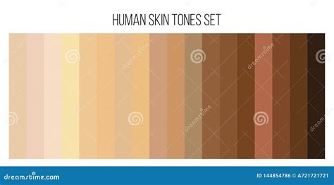 Creative Illustration Of Human Skin Tone Color Palette Set On
