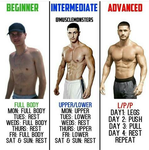 Pin By Hamza On Body Ectomorph Workout Workout Plan Best Workout Plan