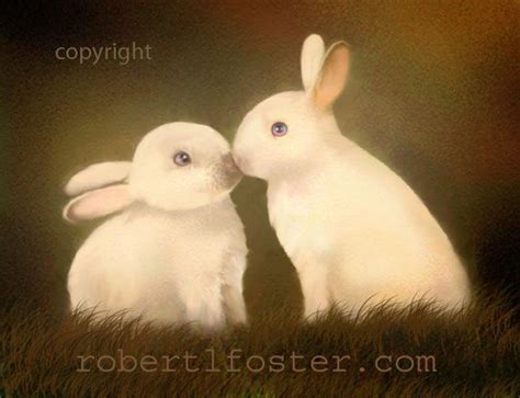 Rabbit Kiss White Rabbit Bunny Art Bunnies Kissing By Lewfoster 1700 Kiss Art Rabbit Art