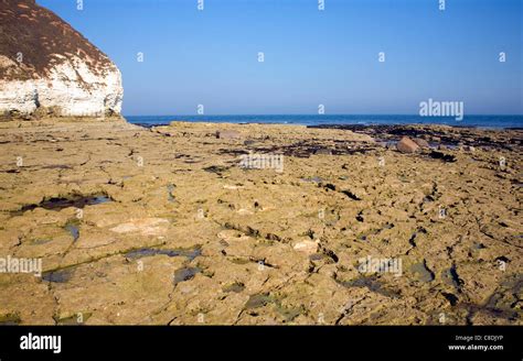 Wave Cut Notch Flamborough Head Hi Res Stock Photography And Images Alamy