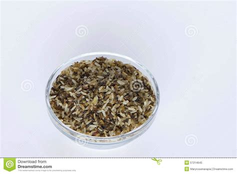 Sorted Parboiled Long Grain Rice Stock Image Image Of Cook High