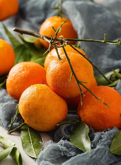 Fresh Mandarin Oranges Fruit With Leaves Stock Photo Image Of Kitchen