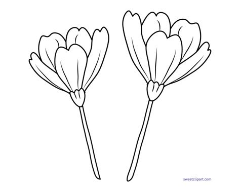 Flower flower arranging flower bouquet lineart iris flower white flower passion flower. 100+ EPIC Best Line Art Png Flower - がじゃなたろう