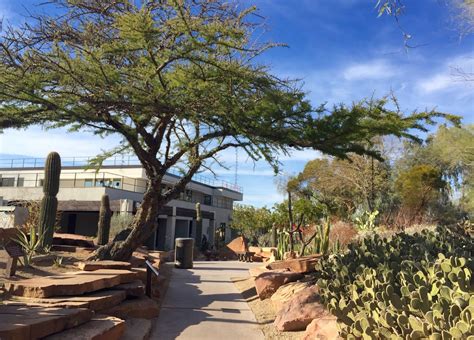Find all the transport options for your trip from las vegas to ethel m botanical cactus garden right here. Red House Garden: The Ethel M. Chocolate Factory's ...