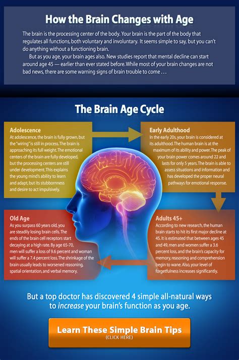 The Effect Of Aging On The Brain Age And The Brain MedixSelect