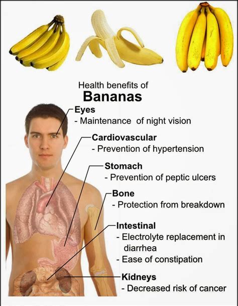 Health Benefits Of A Banana A Day Banana Poster