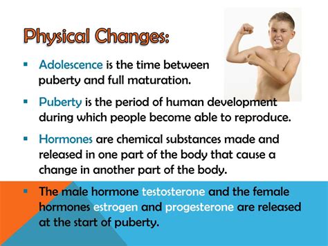 Ppt Puberty Powerpoint Presentation Free Download Id 2721910