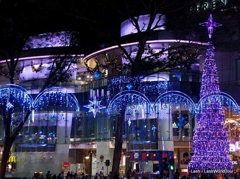 Under The Angsana Tree Christmas Lights 2016