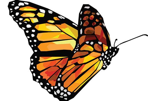 151 Butterfly Svg Vector Free Svg Png Eps Dxf File