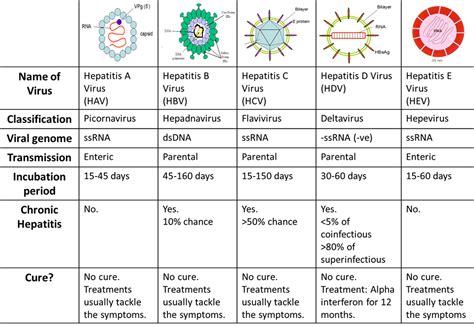 Part Ii Awareness On Hepatitis C Strive For Good Health