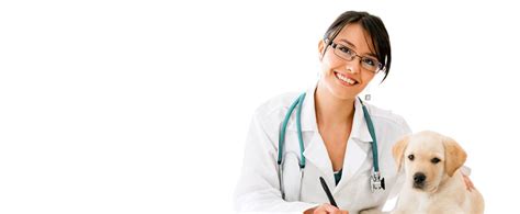 The at home animal hospital and mobile veterinary services team displays an unrivaled commitment to our clients through continuing education, technological advances in veterinary medicine and service, and most importantly, administering compassionate care to all pets entrusted to us. Critical care & Veterinary Emergency Brabant Wallon ...