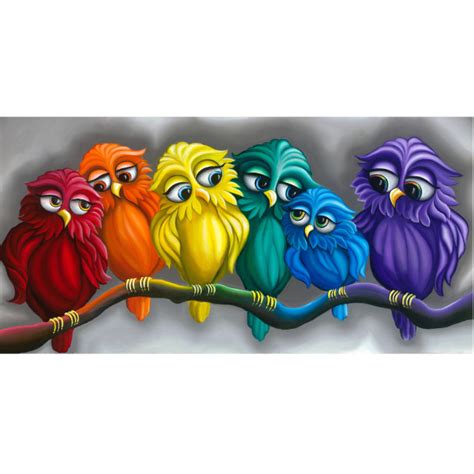 Rainbow Owls