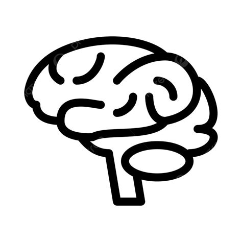 Brain Neurology Department Human Medical Brain Drawing Medical