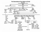 The Family Tree Of Adam And Eve