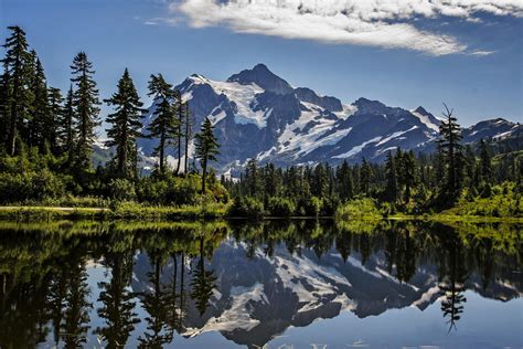 Reflections Of Mount Shuksan In Picture Lake On A Hot Summer Day In