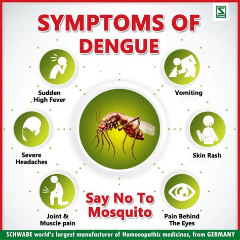 Dengue Fever Warning Signs Sam Hunter