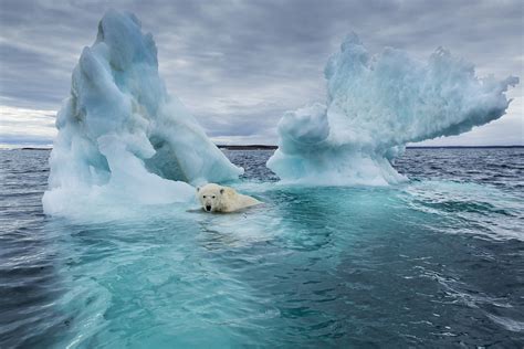 Arctic Sea Ice Melting Faster Than Forecast Cgtn